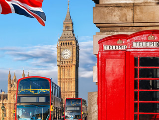 WhatsApp Sheep Technology